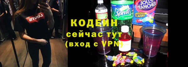 индика Богородск