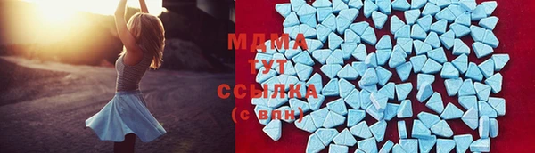 индика Богородск
