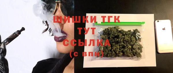 2c-b Бородино