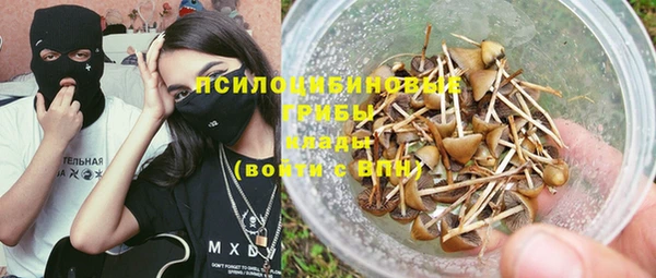 ПСИЛОЦИБИНОВЫЕ ГРИБЫ Верхнеуральск