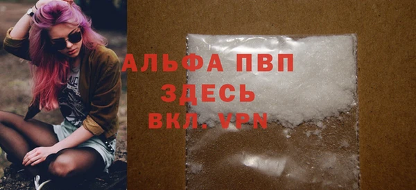 индика Богородск